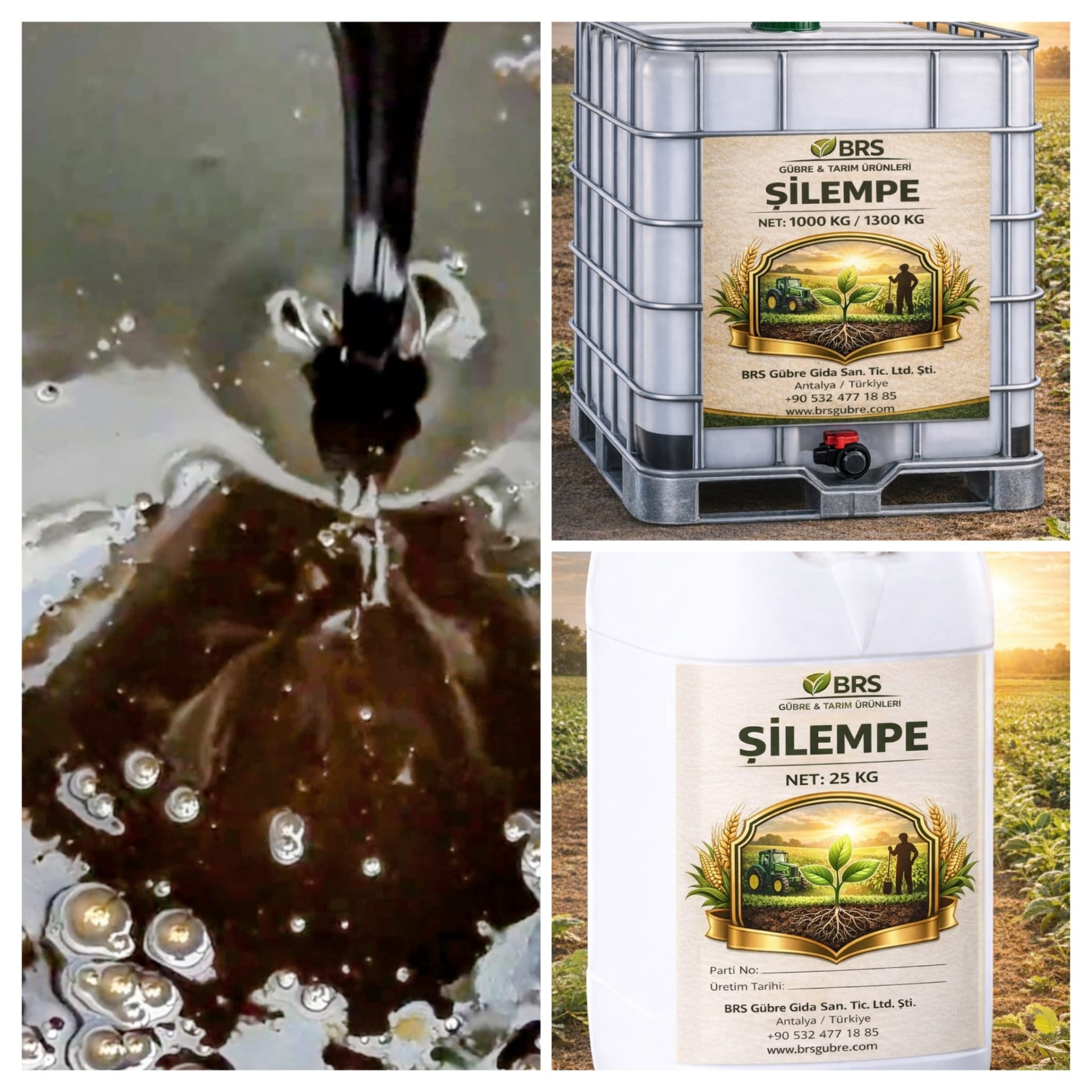 Maya Exrali Şilempemiz,